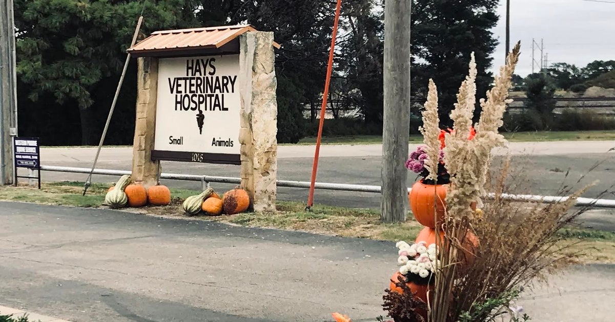 Pet Doctor in Hays, KS Hays Veterinary Hospital